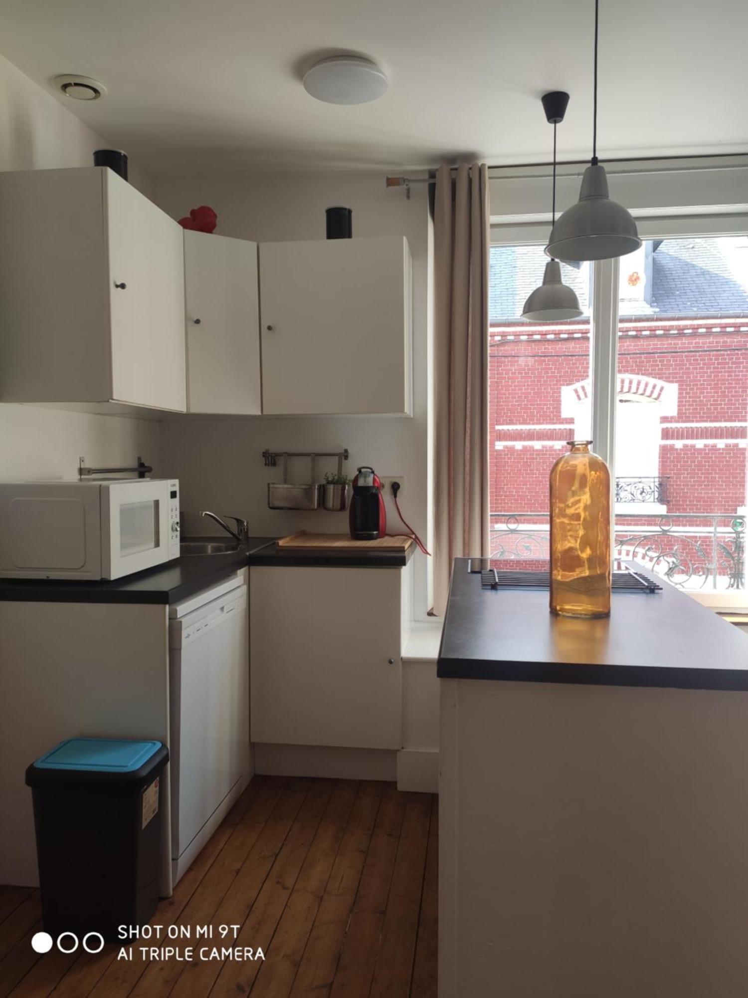 Apartament Chaleureux T2 Au Style Vintage - Rue Gratuite Amiens Zewnętrze zdjęcie