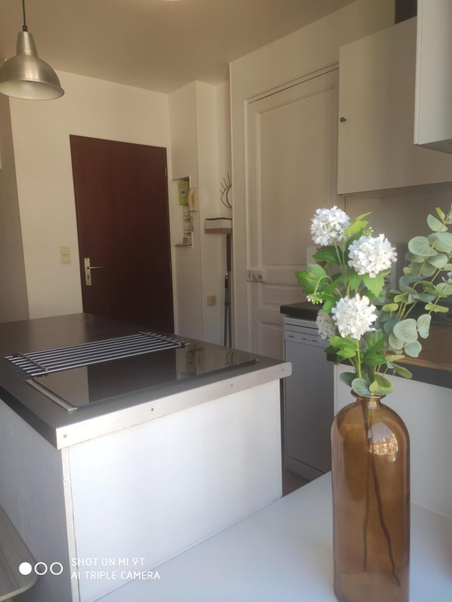 Apartament Chaleureux T2 Au Style Vintage - Rue Gratuite Amiens Zewnętrze zdjęcie